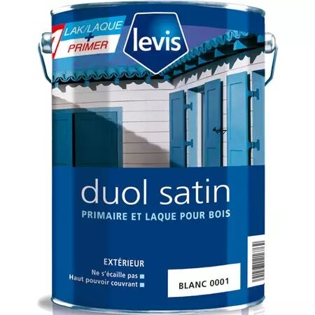 DUOL SATIN TEINTE