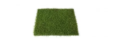 GAZON BELLA ECO LIME