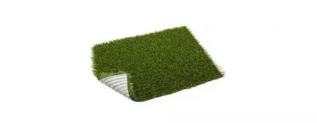 GAZON BELLA ECO LIME