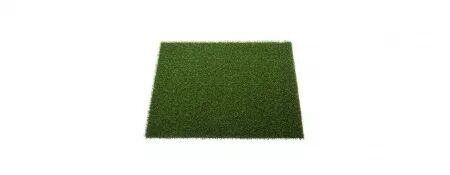 GAZON PETIT DUNE GREEN