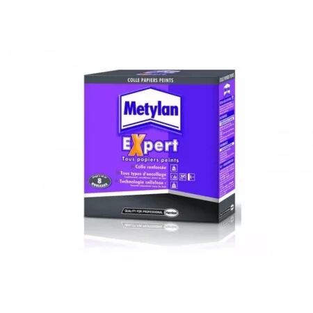 METYLAN EXPERT
