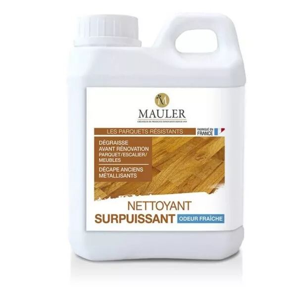 NETTOYANT SURPUISSANT