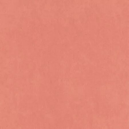 PAPIER PEINT BEAUTY FULL IMAGE