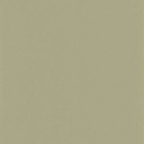 PAPIER PEINT GALONS ET FRISES