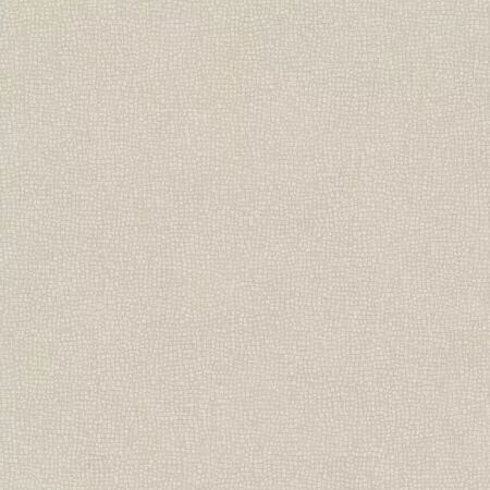 PAPIER PEINT SO COLOR 4