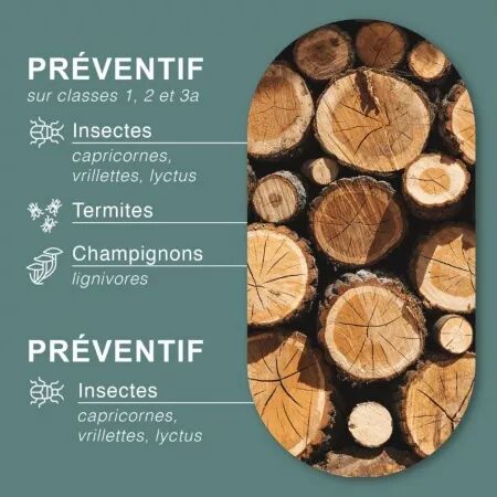 TRAITEMENT INSECTICIDE FONGICIDE