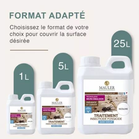 TRAITEMENT INSECTICIDE FONGICIDE
