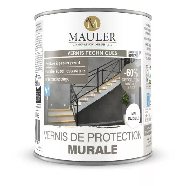 VERNIS DE PROTECTION MURALE