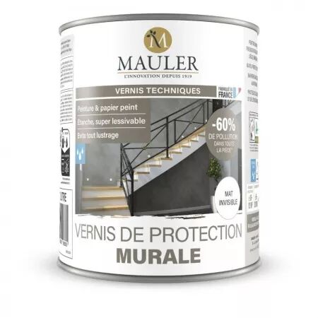 VERNIS DE PROTECTION MURALE